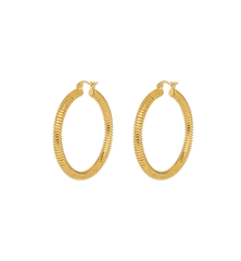 Large Spiral Hoop Earrings