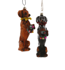 Festive Doxy Glass Ornament